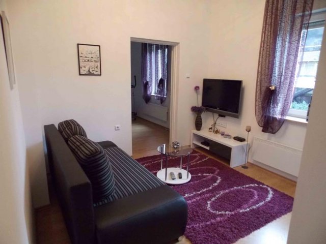 Apartment Divna - Zagreb (3+1)